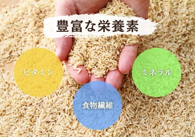 「清里棚田減農薬玄米」の3つの特徴！！
