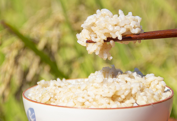 きよさとの減農薬玄米